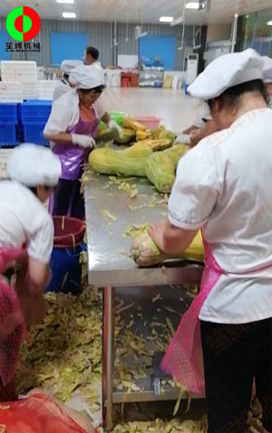 工程售后團隊現(xiàn)場考察江西客戶生產現(xiàn)場,提供整套瓜果加工設備方案！