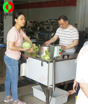 蔬果分瓣機(jī)現(xiàn)場測試，客戶滿意切割效果！