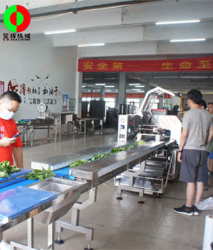 枕式蔬果包裝生產(chǎn)線,客戶現(xiàn)場測(cè)試驗(yàn)收！
