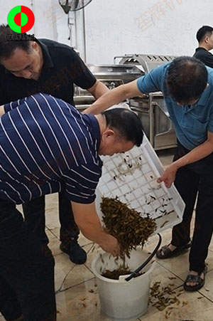 客戶來(lái)廠測(cè)試驗(yàn)貨果蔬清洗加工設(shè)備！
